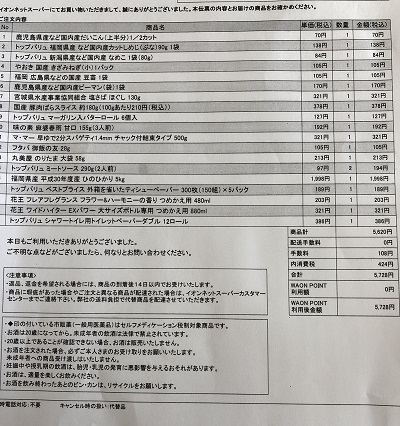 イオンネットショッピング 明細
